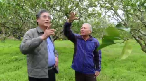 陳在惠牧師行入花東 阻止人口買賣、推動立法