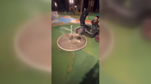 花蓮有人用電動車紡公園玲瑯馬 畫面引爭議