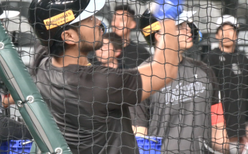 臺日進行交流賽 總教練曾豪駒安排上強陣容