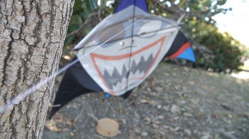 哈瑪星鐵道園區 民眾騎車去予風吹線割著傷