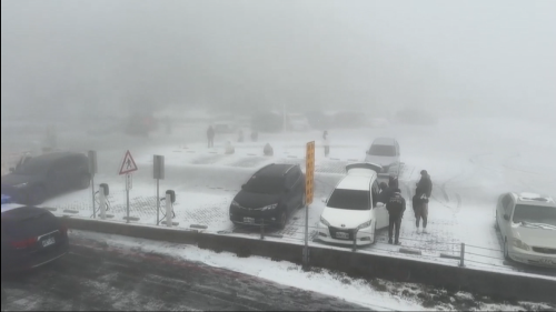 南投合歡山今日透早落雪 濟濟遊客上山欣賞