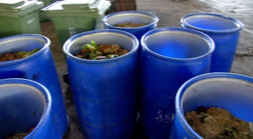 油潘載運.飼豬有條件開放 249場完成申請