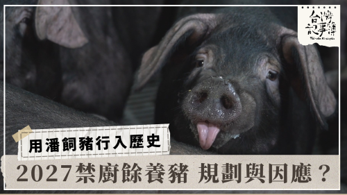 用潘飼豬行入歷史、LINE：看袂著的阻礙｜台灣記事簿