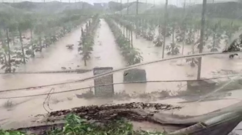 屏東高樹大雨捙桶倒 溪流漲水、水崩山淹車路