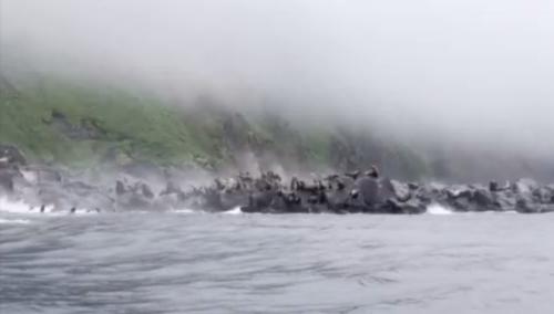 露西亞規模8.8地動 堪察加半島海掃5米懸