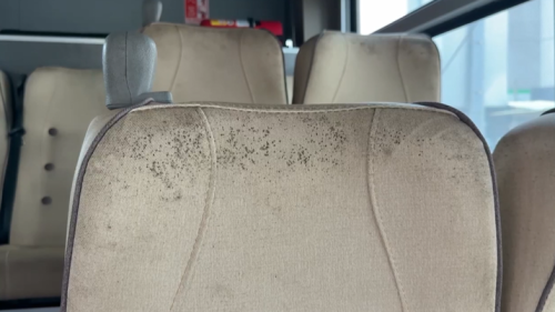 嘉義市公車椅苴生菇？ 業者：會清理抑是換新