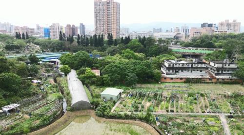 舊彈藥庫 綠地變回收場、台南金仔窟 強強欲失傳