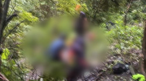 臺中蝴蝶谷石頭崩落來 4人OHCA.1人著傷