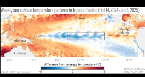 NOAA:太平洋海溫夯懸 聖嬰現象已經形成