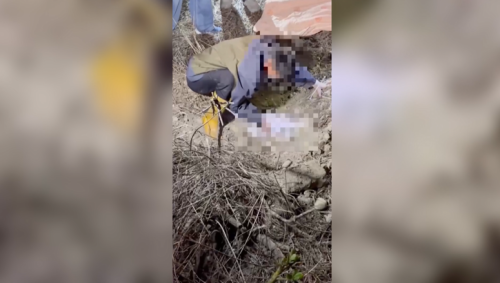 無錢辦嬰仔後事煞直接埋 越南移工被判5個月