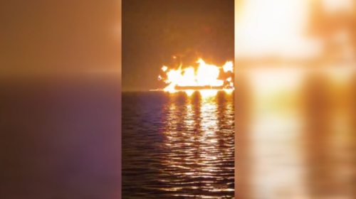 荷姆茲海峽封鎖 IEA提4億桶戰略原油出來