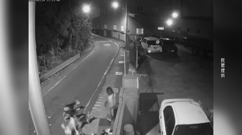 彰化人家飼狗無牽索仔 民眾經過去予咬著傷