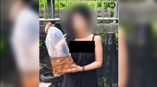 買魚去碧潭放生、替老母祈福 動保處共罰3萬