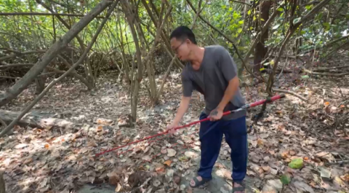 傳講臺南有海沙埔埋萬五箍 民眾提家私挖寶