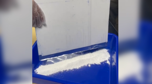 毒品藏模型底座走私來臺 警方接著線報掠人