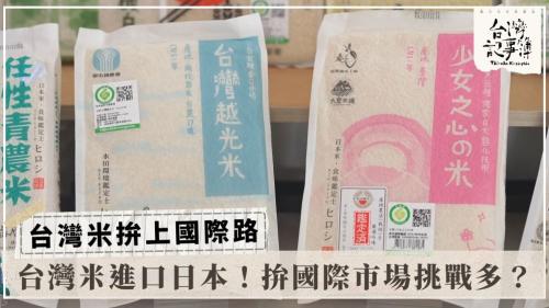 台灣米拚上國際路、百年菊藝牽台日情｜台灣記事簿