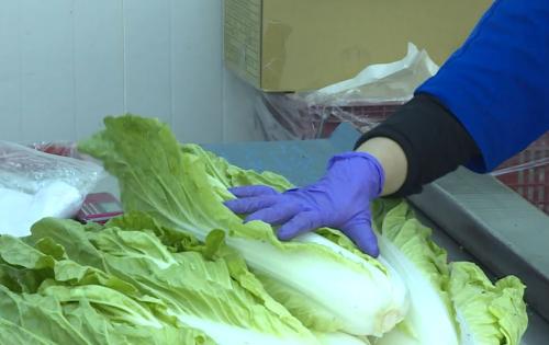 果菜農藥殘留查驗 80件無合格、濟連鎖火鍋店