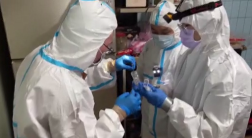 豬農爸仔囝轉厝採檢 豬肉底時解禁？今日開會決定