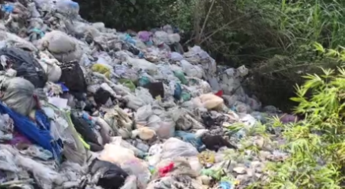 高雄月世界糞埽山 岡山區碧紅里長羈押禁見