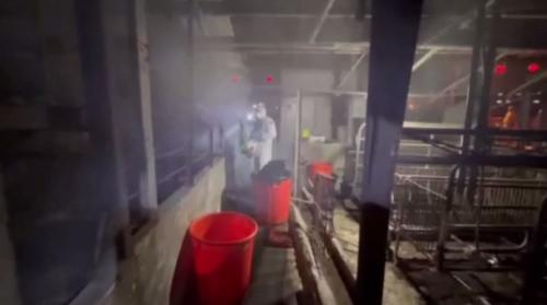 國軍消毒煞、市府閣去 農業部驚影響豬災檢驗