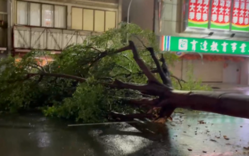南臺灣規暝透風落雨 部份地區路樹倒去、淹水