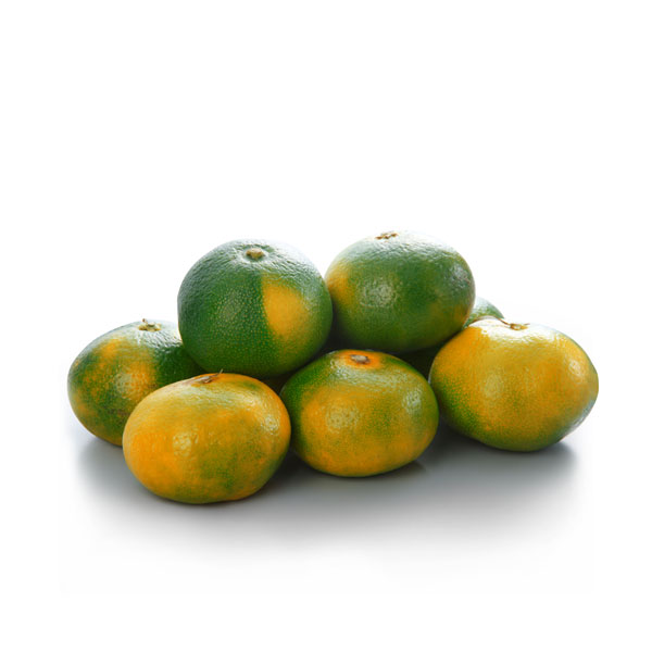 Mandarina satsuma sin pepa malla x 2 Kg