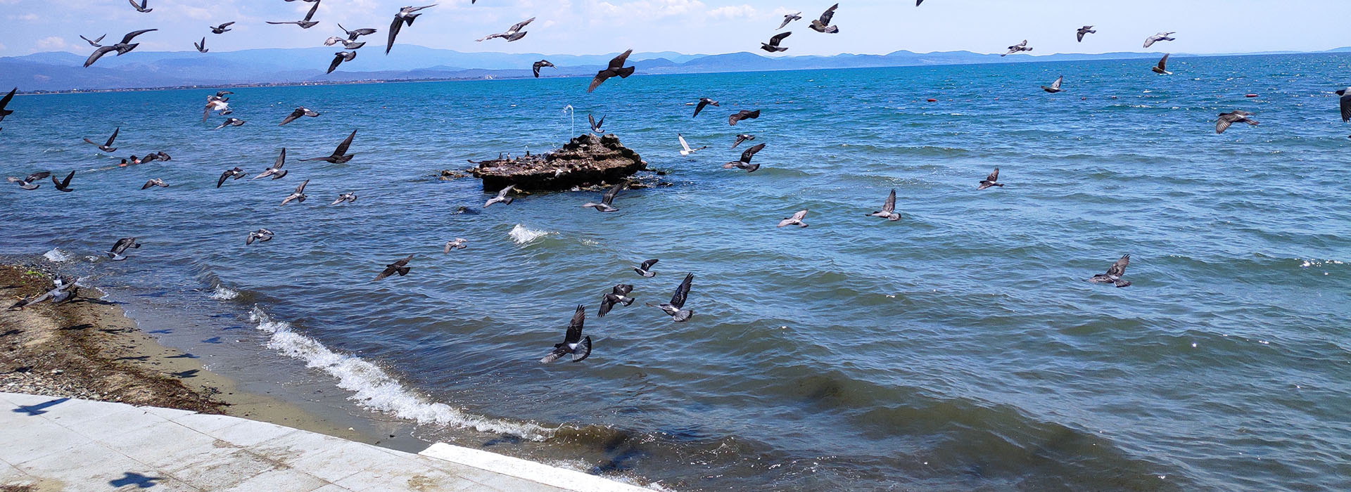 Akcay Deniz Akcay Deniz