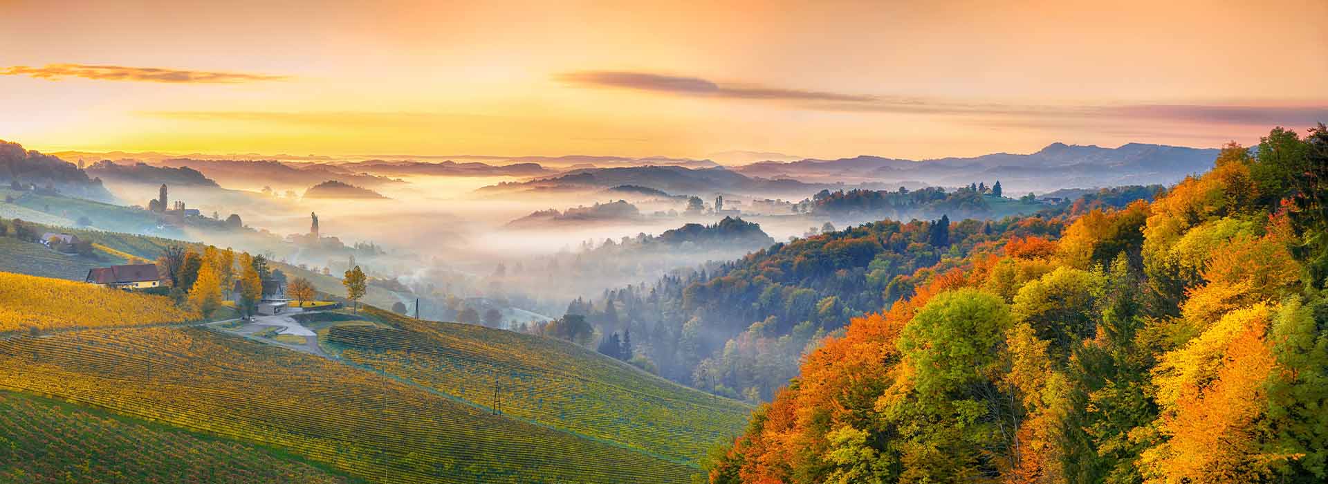 avusturya gorsel avusturya gorsel