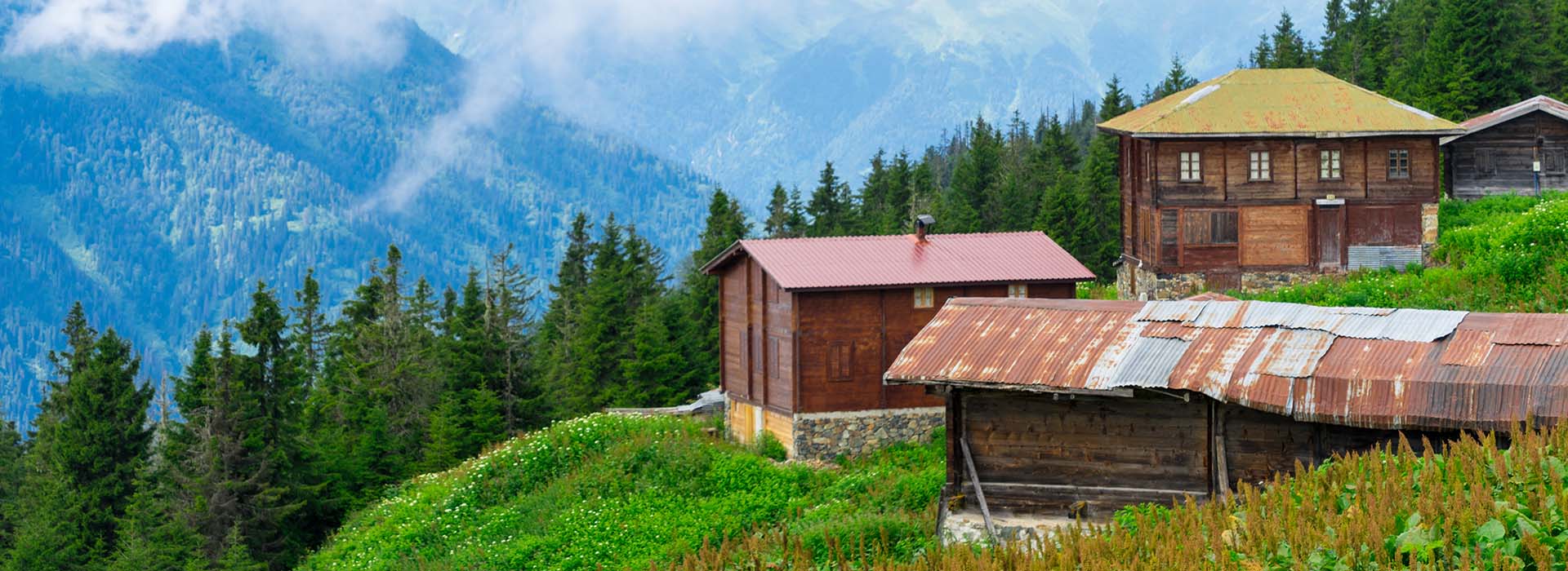 Ayder Doga Ayder Doga