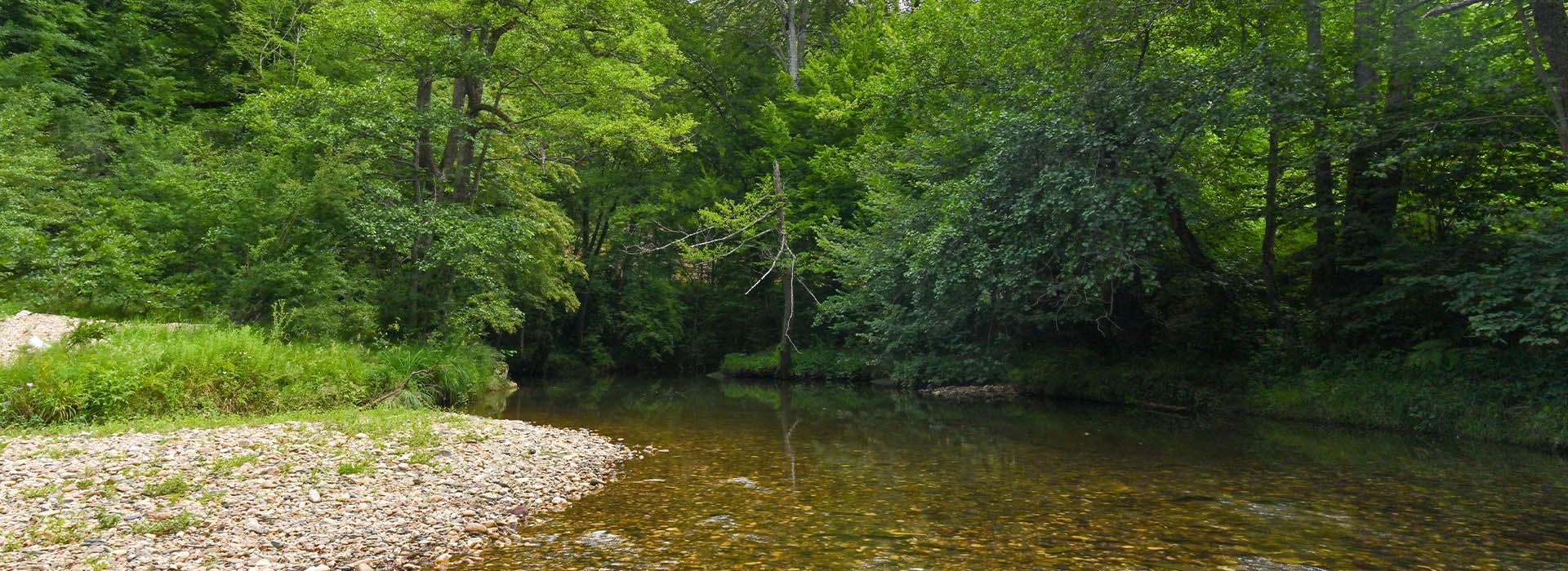 igneada gorsel igneada gorsel