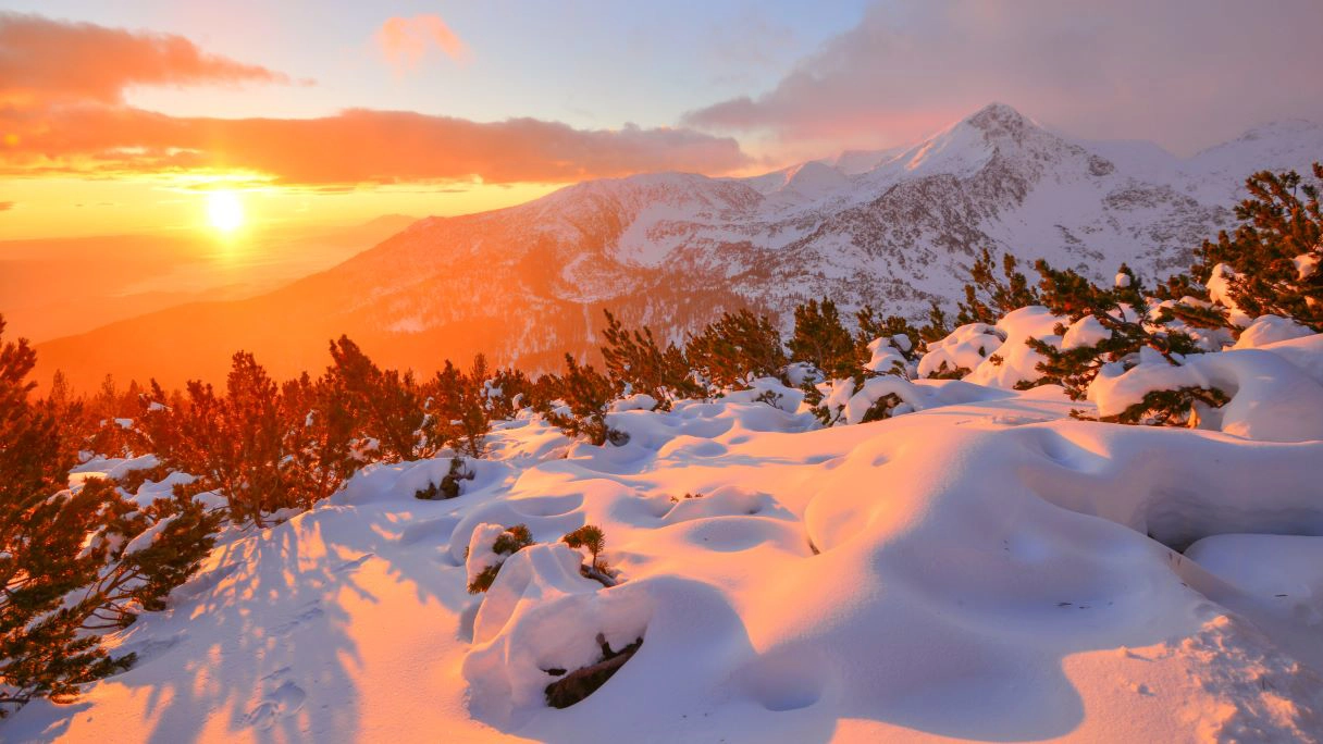 bansko all-inclusive hotels