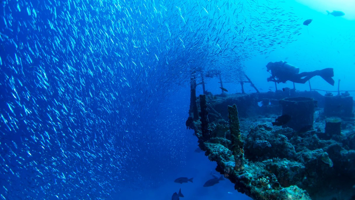 Maldives Accommodation Options