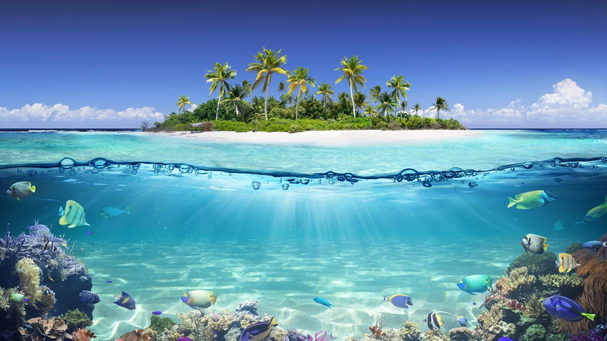 Scuba Diving