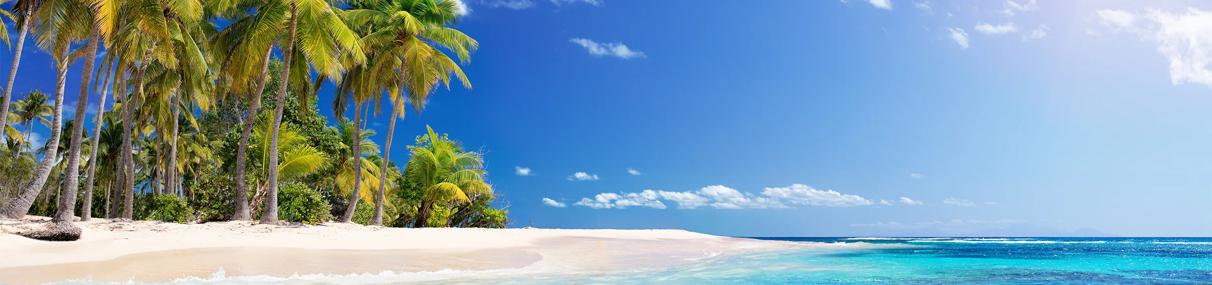 Turkish language visual data 8