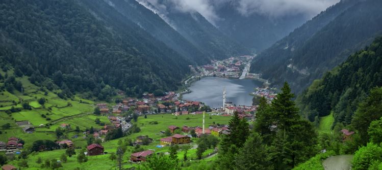 A Green Tale: Trabzon