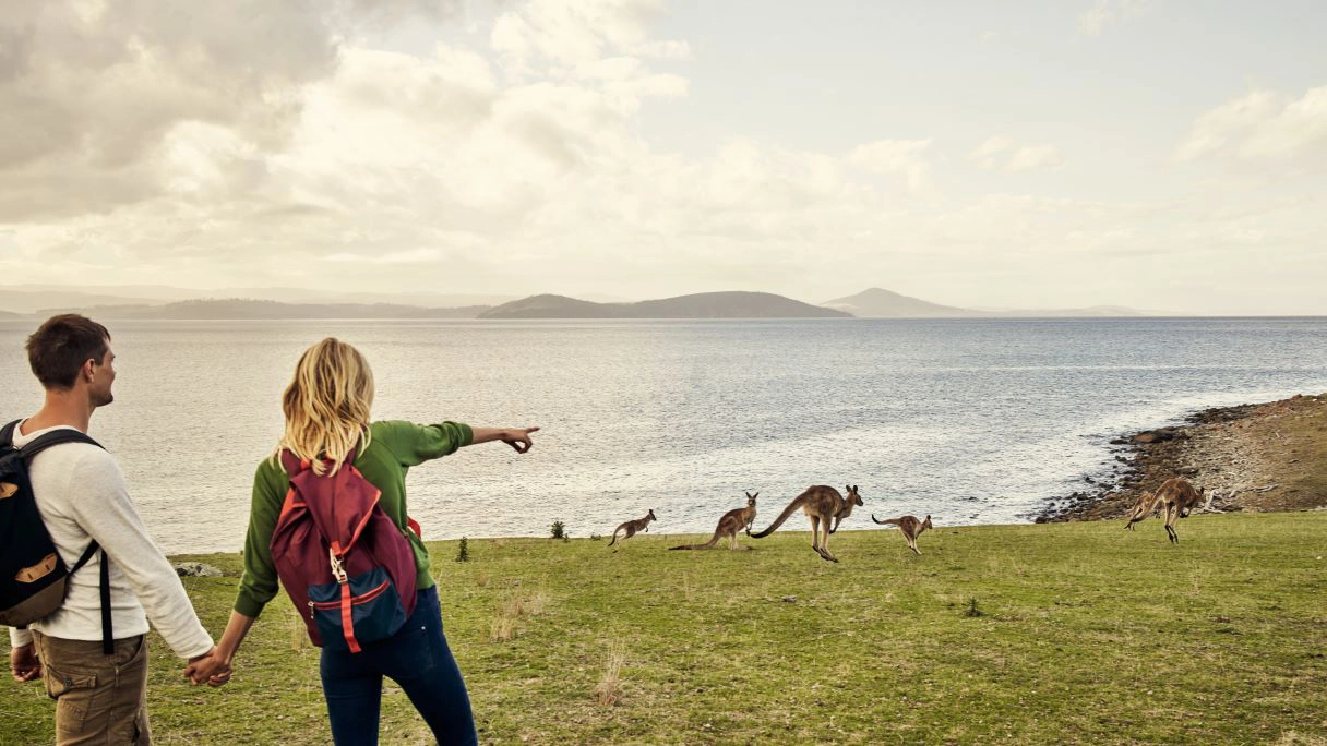 Wildlife Australia