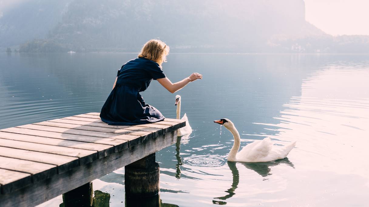 How to be Earth Friendly Swan