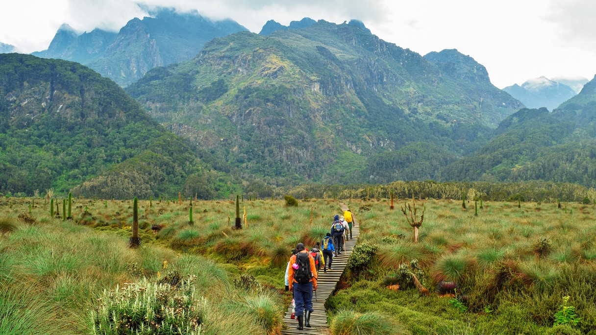 Trekking Uganda