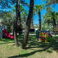 DoubleTree By Hilton Bodrum Isil Club Resort Aktivite 118 DoubleTree By Hilton Bodrum Isil Club Resort Aktivite 118