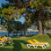 DoubleTree By Hilton Bodrum Isil Club Resort Genel Görünüm 30 DoubleTree By Hilton Bodrum Isil Club Resort Genel Görünüm 30