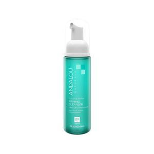picture of Andalou Naturals Quenching Coconut Water Firming Cleanser