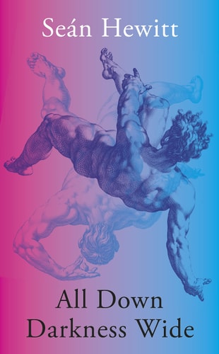 Seán Hewitt All Down Darkness Wide 2022 Jonathan Cape