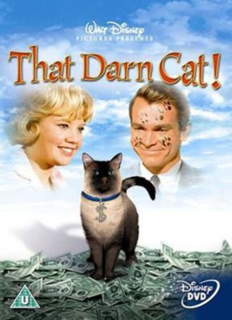 That Darn Cat Films cinema Humour DVD Region 2 Wdhe