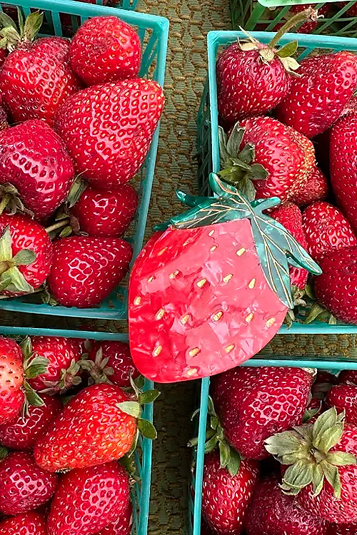 Erdbeere Haarspange - Rot