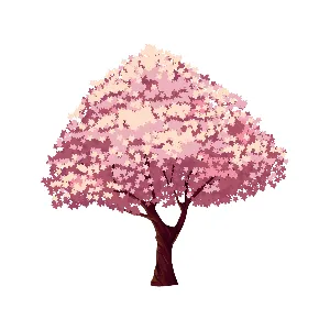 さくら