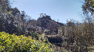 大麦@電子工作/電子系CAD