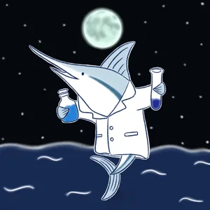 理科の海夜先生(うみや)@教材校正
