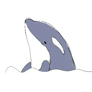 しゃち