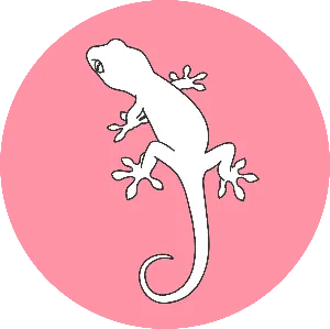 やもり🦎家計管理見直し中