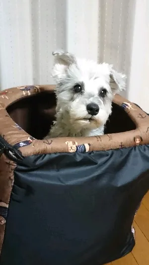 ぺ子みかっぺ